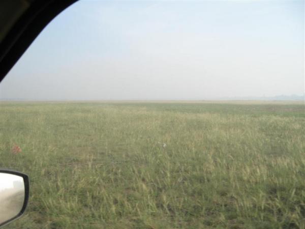 IMG 1499 (Medium)