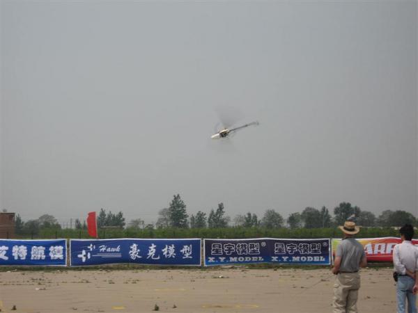 IMG 1528 (Medium)