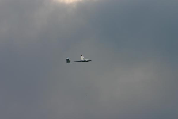 IMG 3043