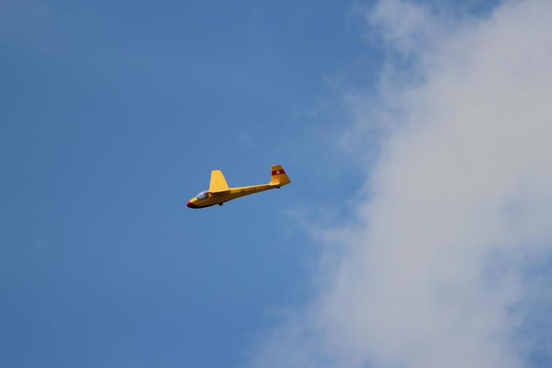 IMG 4772