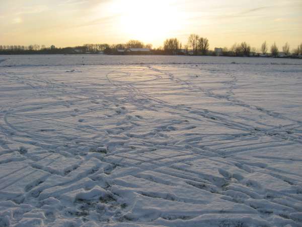 IMG 5997 600