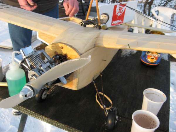 IMG 5999 600
