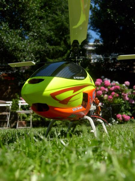 Mini Titan in m'n tuin.
links onder. deze vind ik het mooist:)