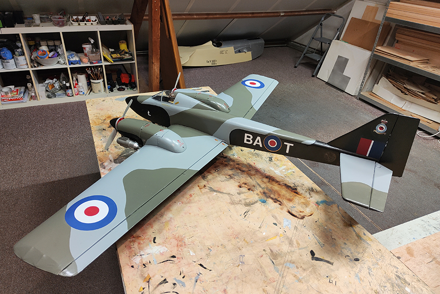 MOSQUITO__061