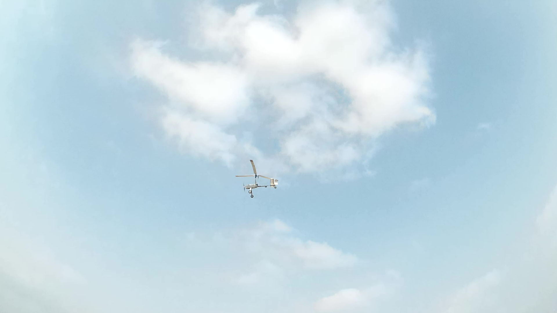 MyflyingLuobo