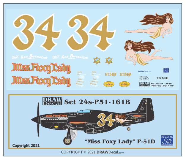 Ornithos_P-51__040