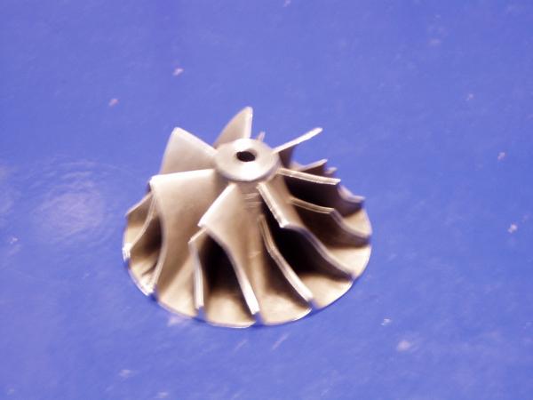 P1010113