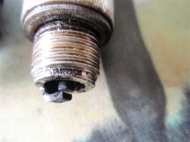 P3280147 (Small)