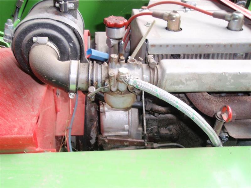 P7060042 (Medium)