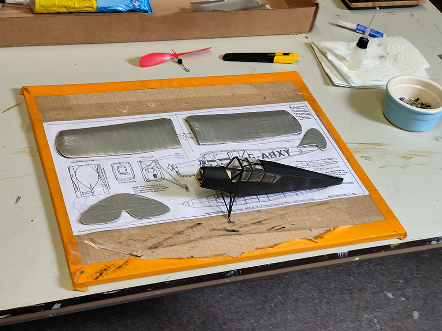 PEANUT_MOTH__016