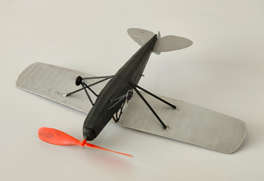 PEANUT_MOTH__019