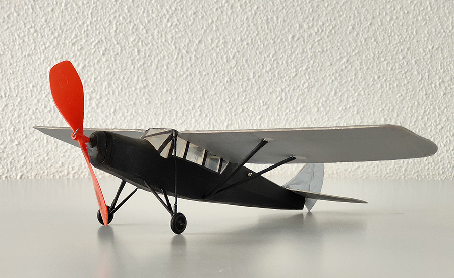 PEANUT_MOTH__021