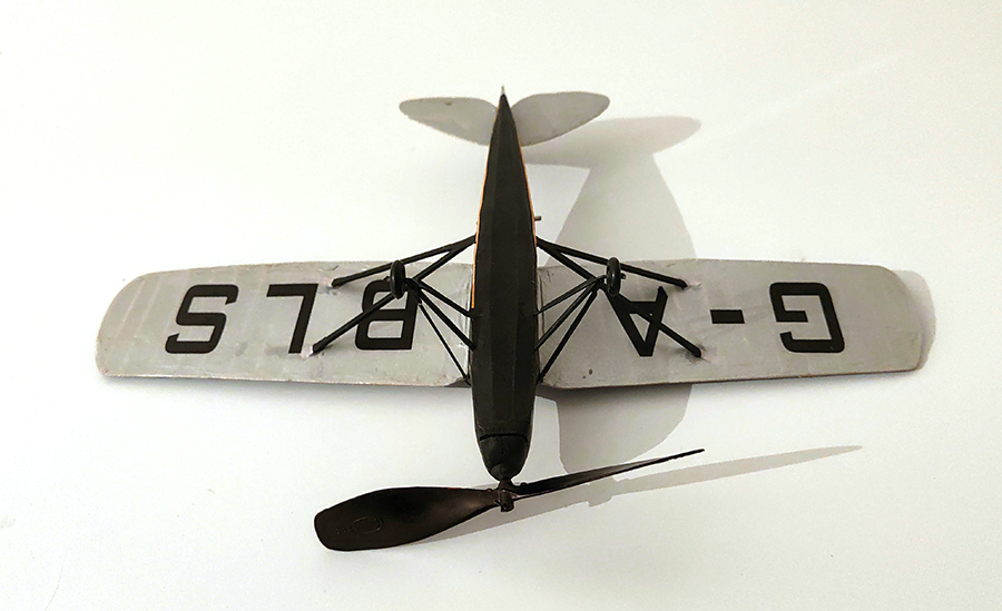 PEANUT_MOTH__024