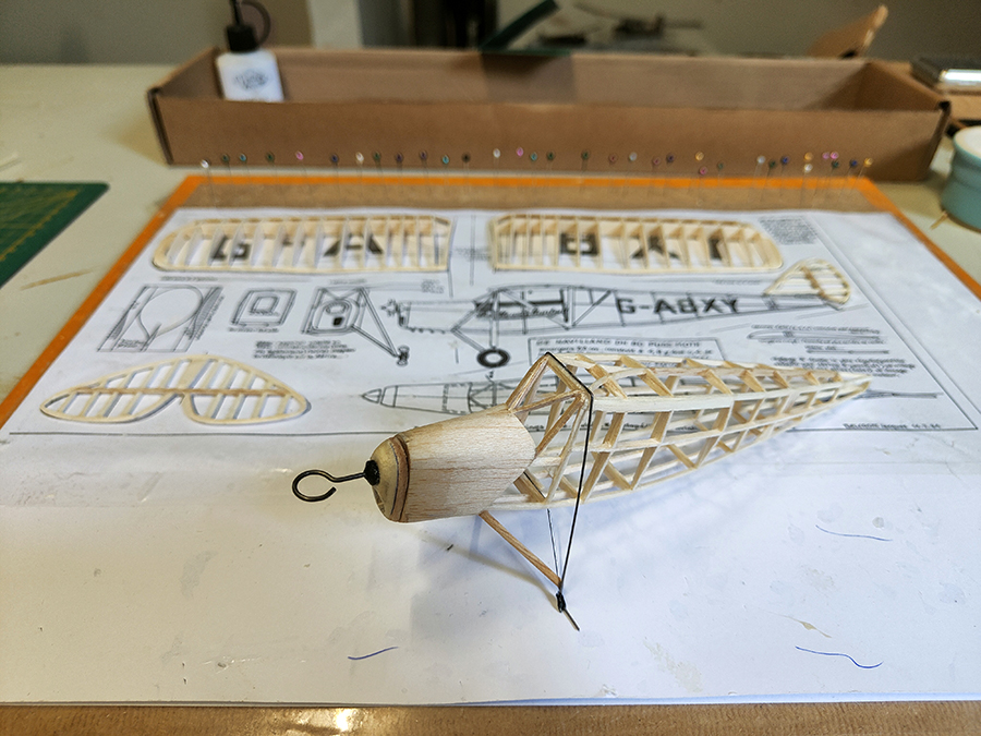 PEANUT_MOTH__042