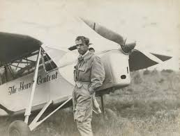 PEANUT_MOTH__065