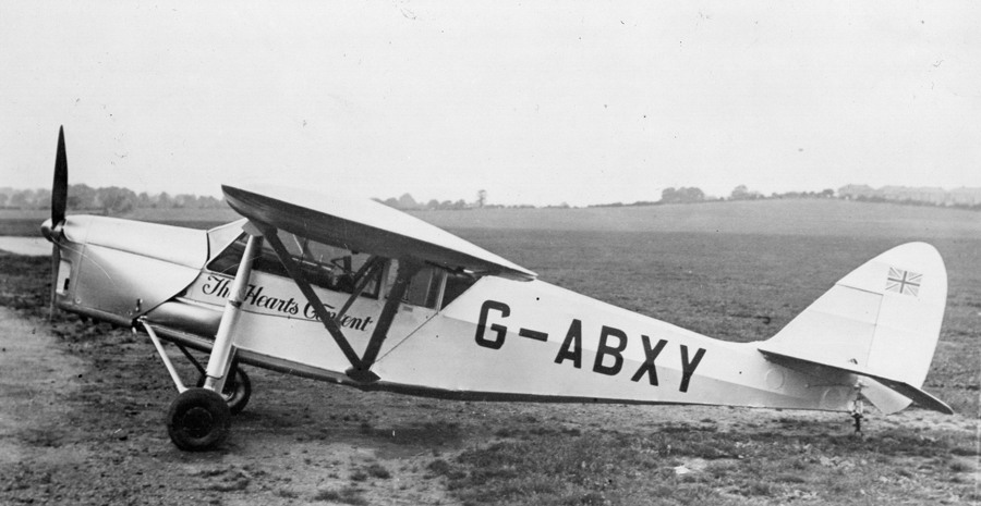 PEANUT_MOTH__066