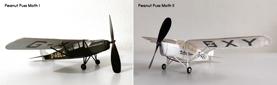 PEANUT_MOTH__086
