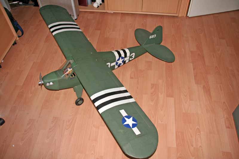 Piper