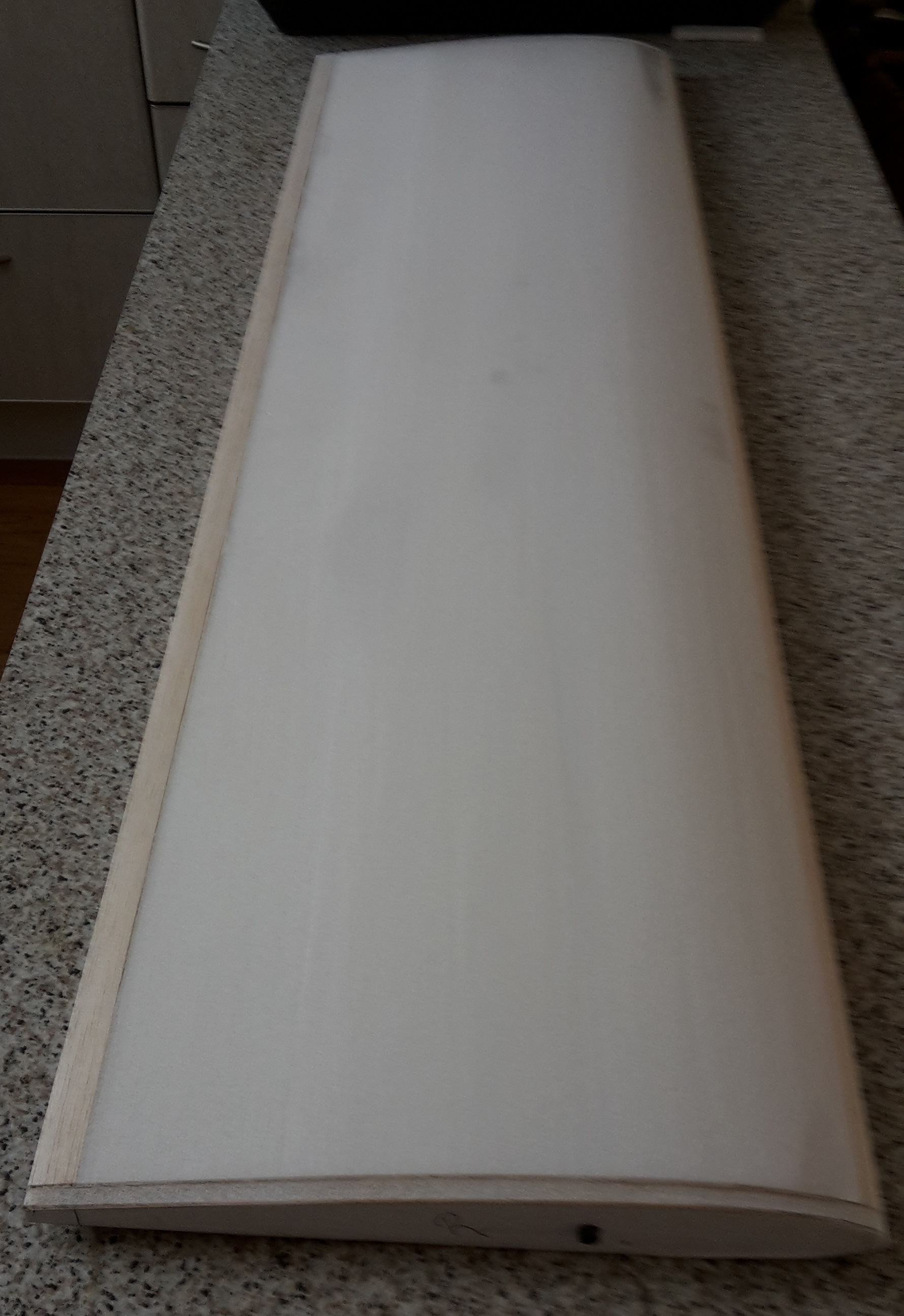 Pw51_wing