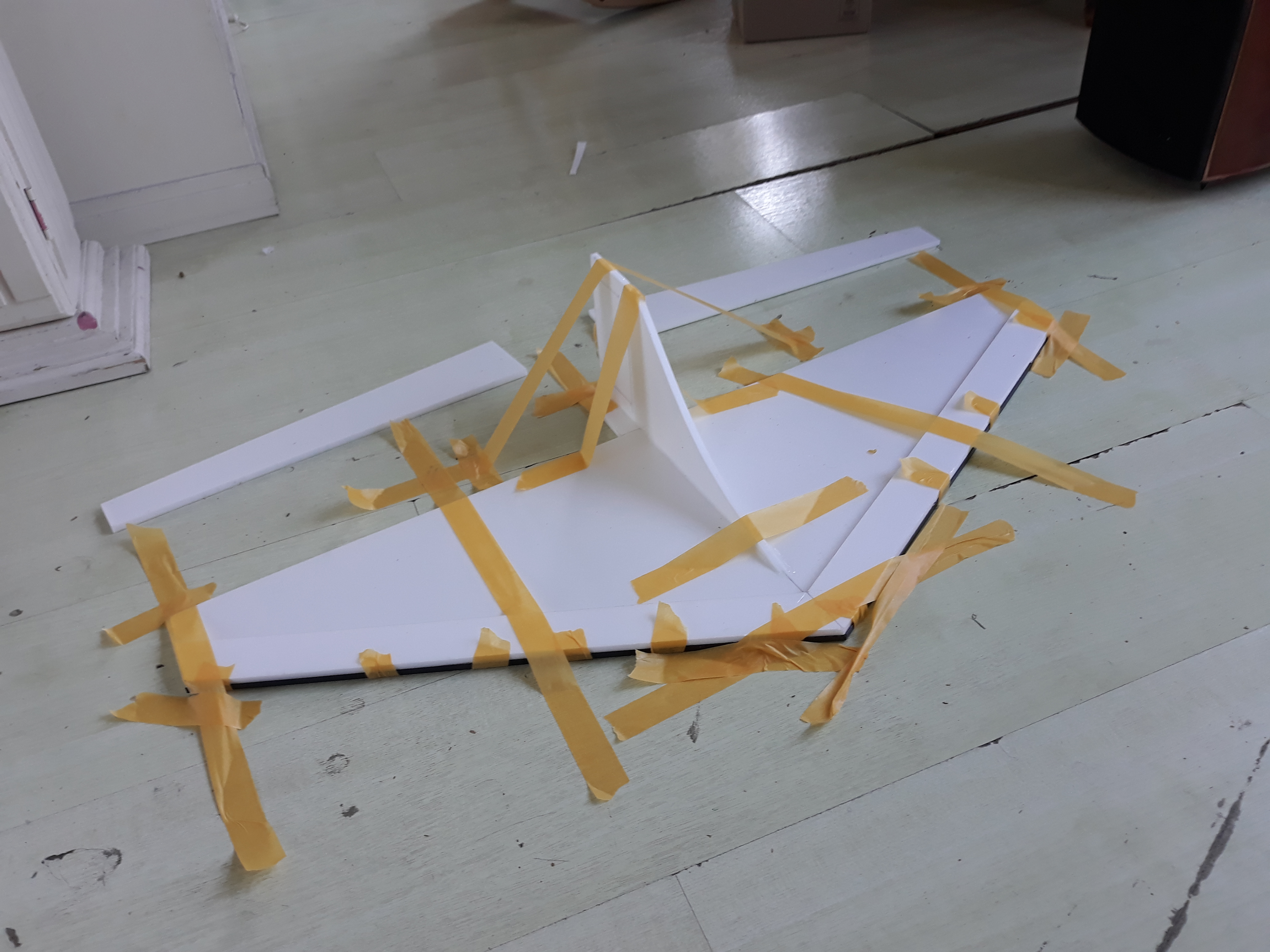 soaring delta wing