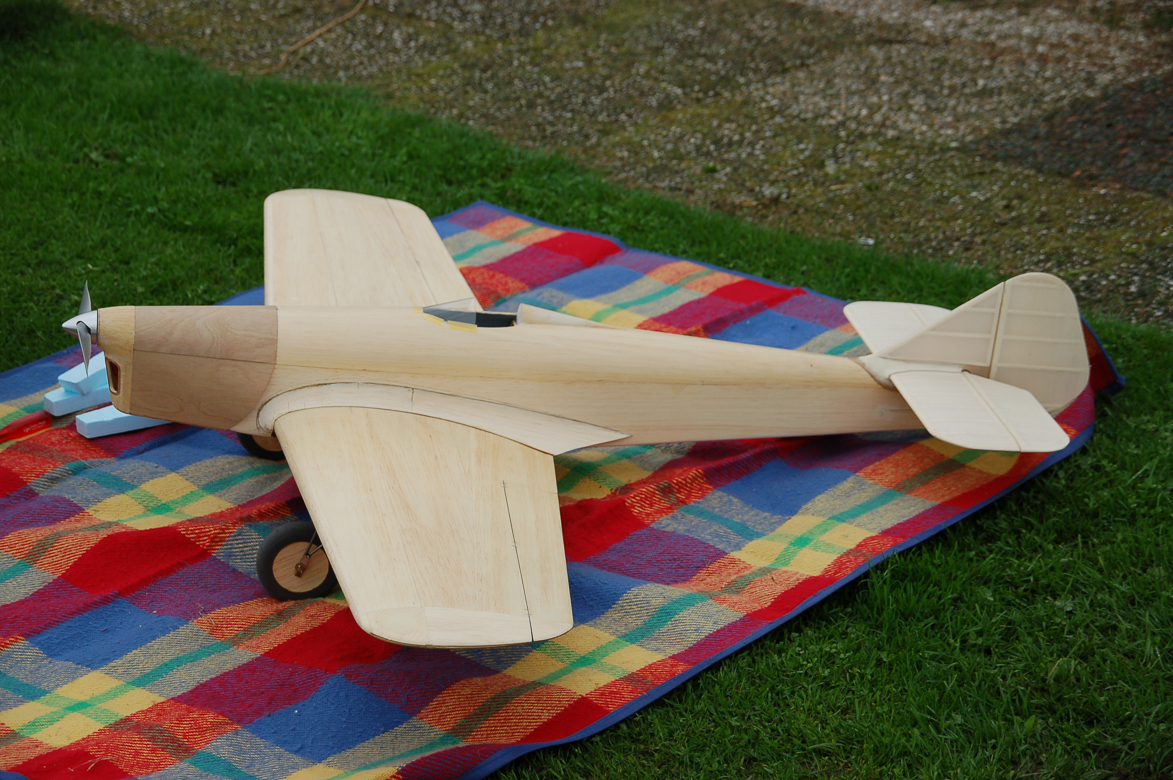 Sparrowhawk-118