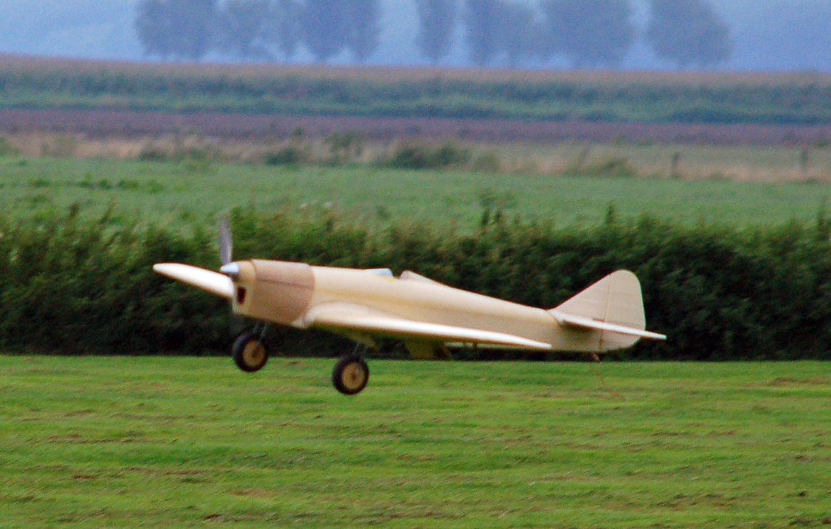 Sparrowhawk-121