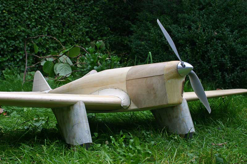 Sparrowhawk-135