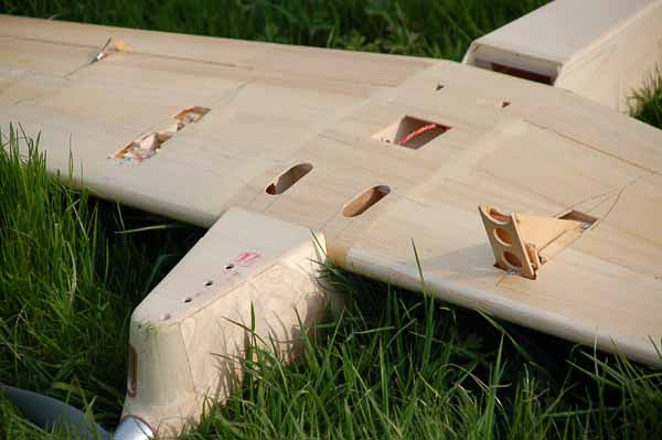 Sparrowhawk-77