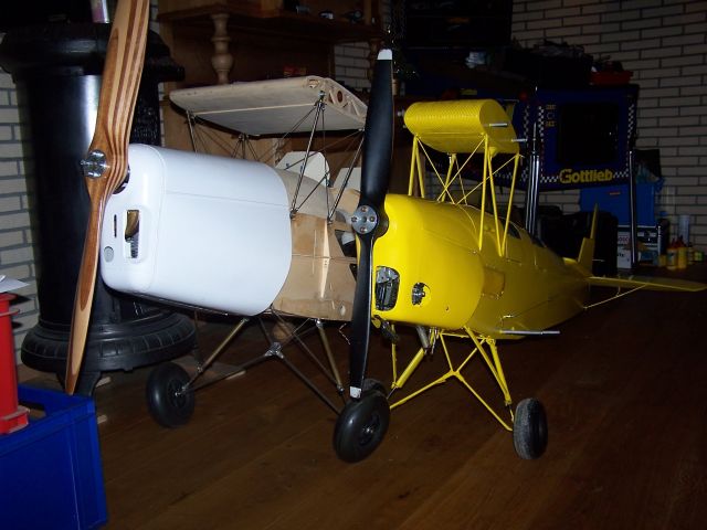 stampe & tiger