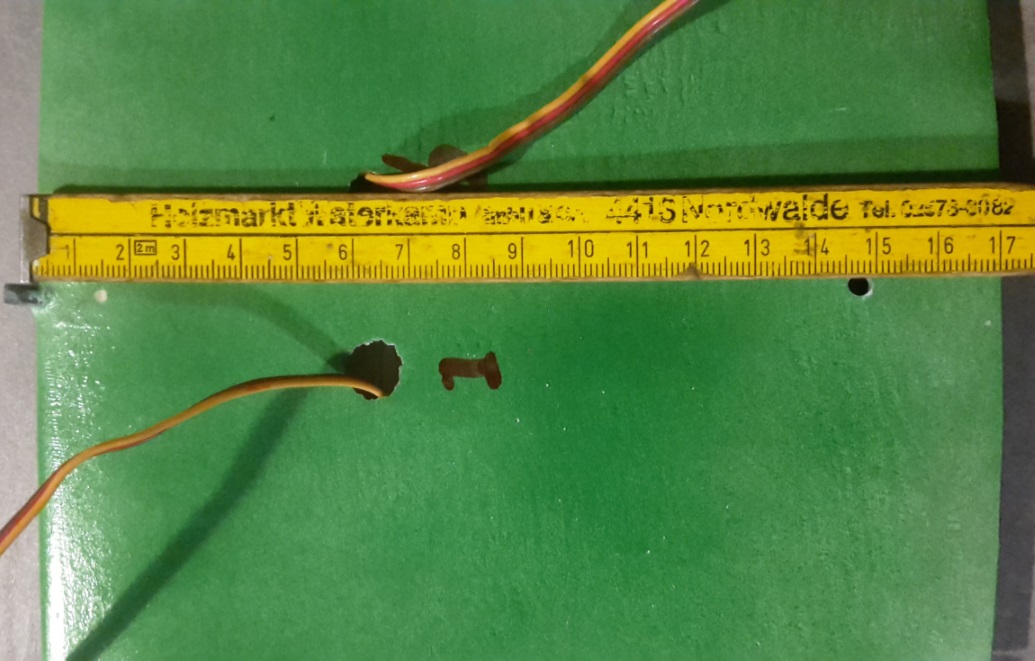 Stinger_wing_underside