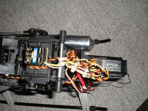 t rex 600 N 04