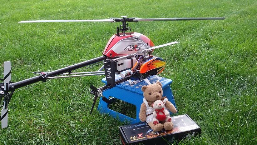 Teddy Op Valkenburg - Kopie