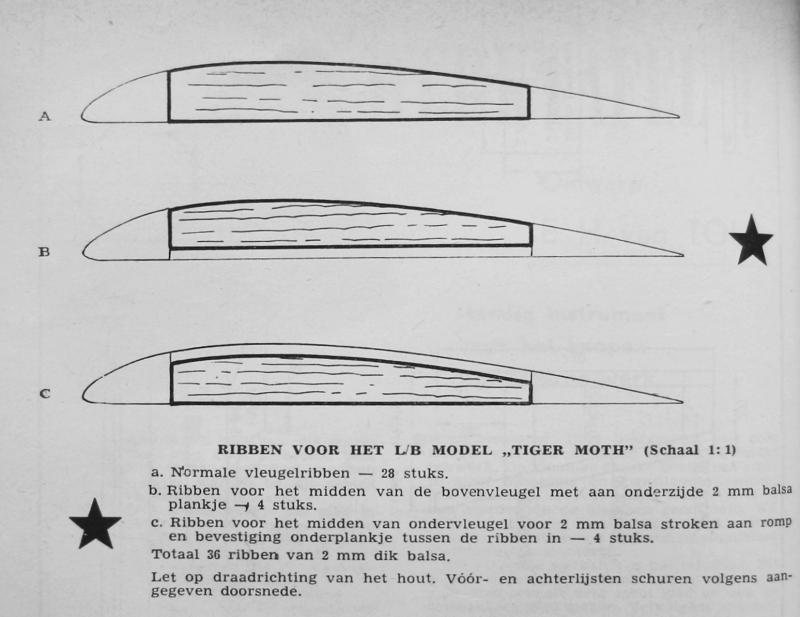Tiger Moth 15 (rib)