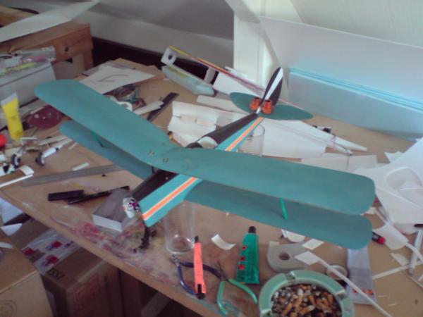 tigermoth2