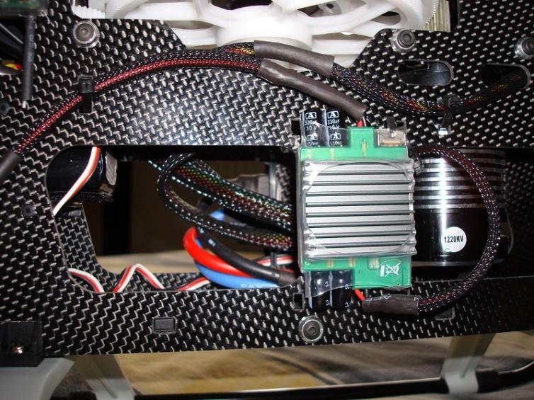 Trex6004