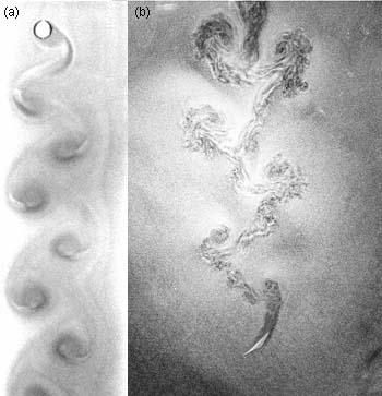 Vortices