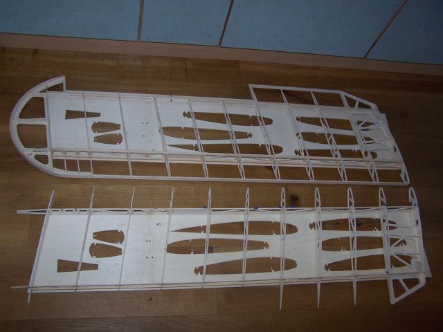 wing1